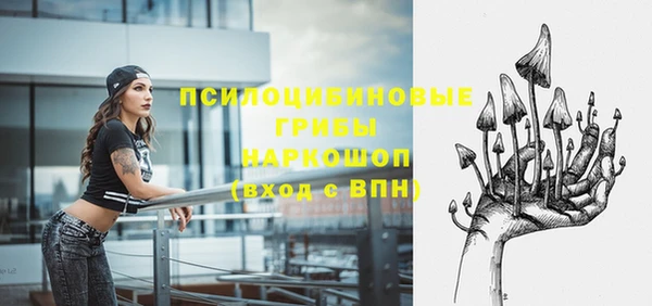 амф Белокуриха